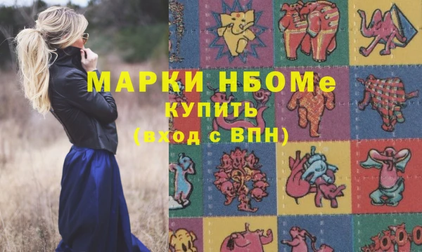 индика Армянск