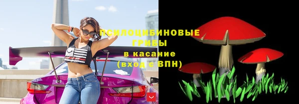 крисы Арсеньев