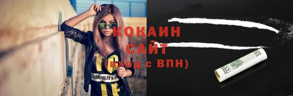 индика Армянск