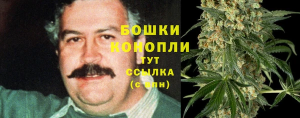 трава Аркадак