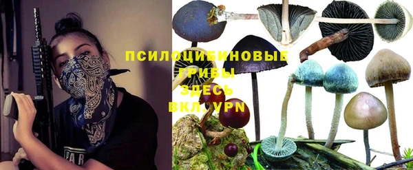 крисы Арсеньев