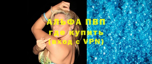 трава Аркадак