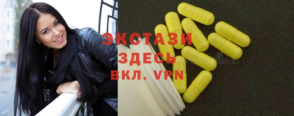 индика Армянск