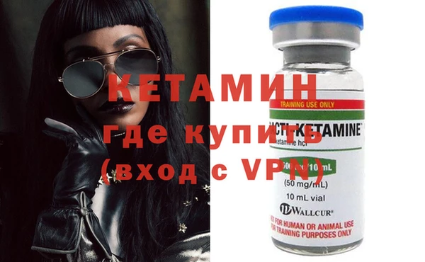 трава Аркадак