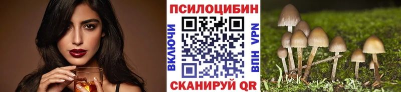 Галлюциногенные грибы Psilocybe  Луховицы 