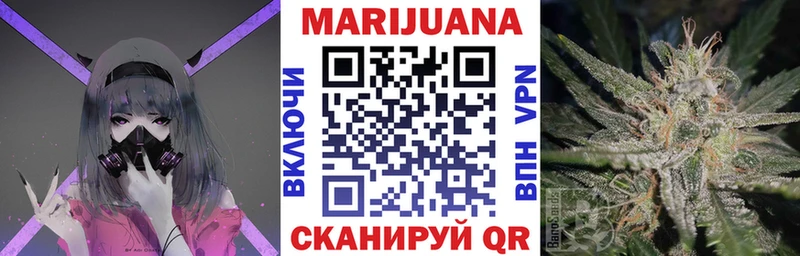 Канабис сатива  Луховицы 